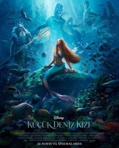 HO00005782_638200948164408513_kucuk-deniz-kizi-4